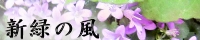http://sinryokunokaze.okoshi-yasu.com/